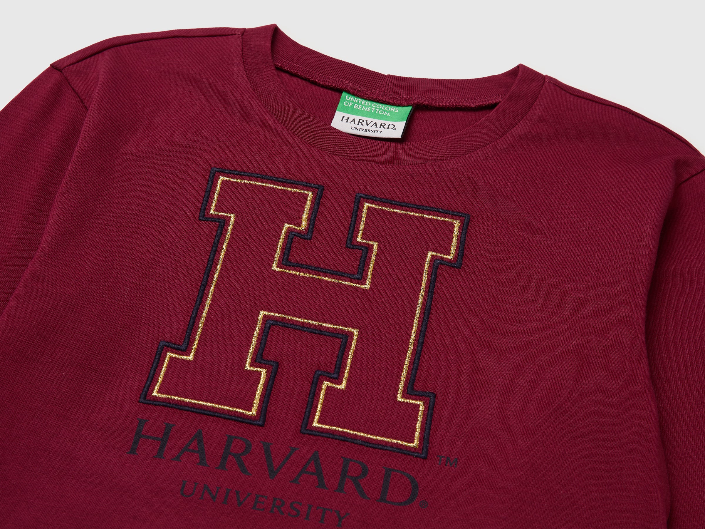 T-shirt boxy fit ©Harvard University - ucb_image_DS1