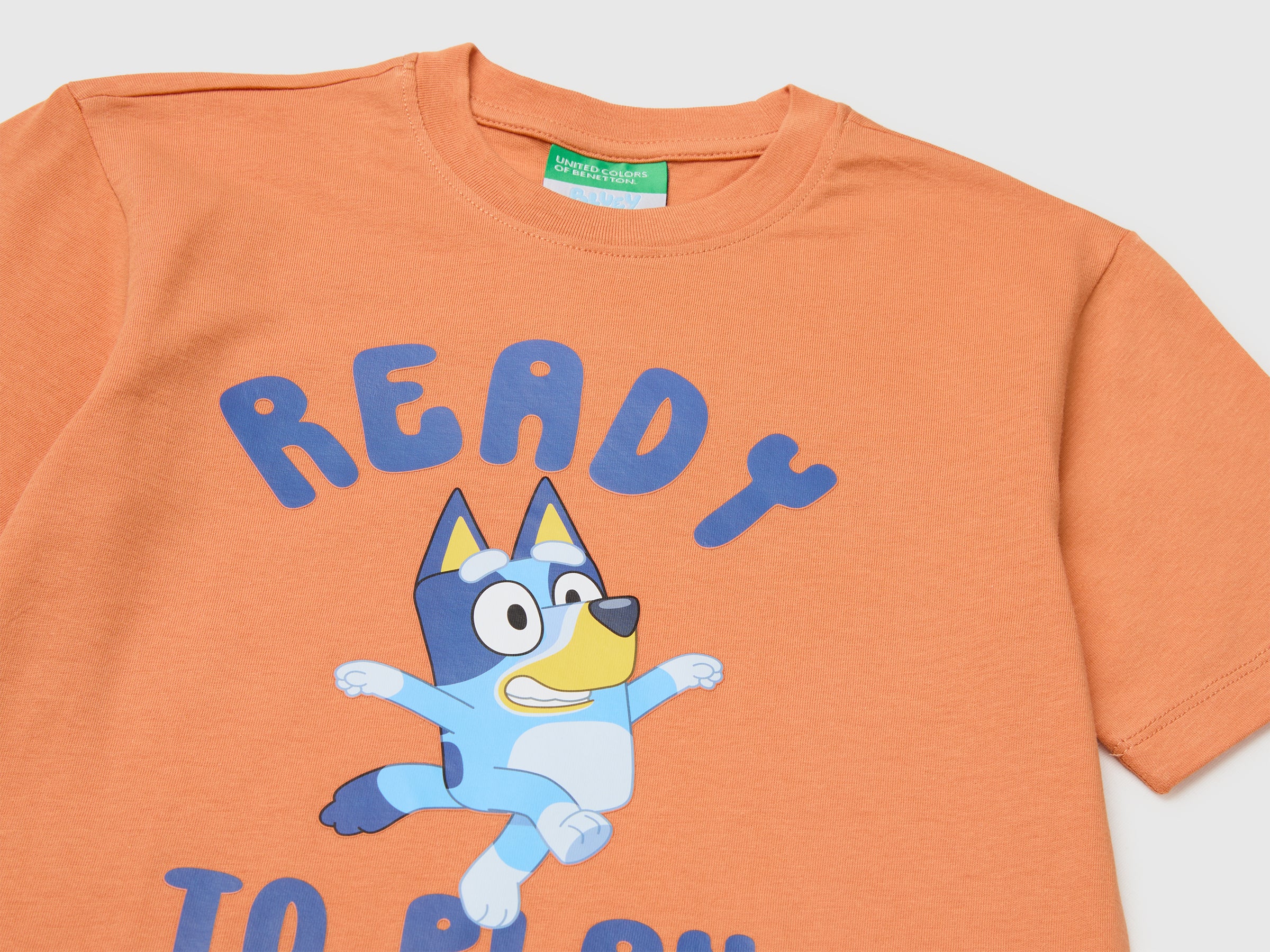 Bluey Orange T-Shirt - ucb_image_DS1