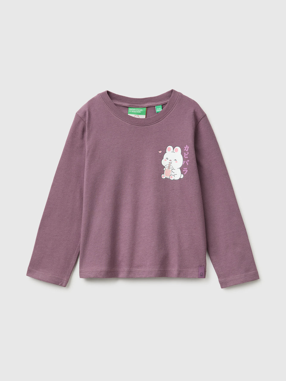 T-shirt Capivara CapyFun 100% algodão - ucb_image_FS