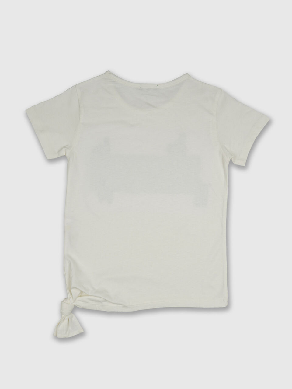 Banner With Llama Tee image number 2