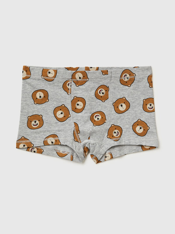 Teddy bear boxers Junior Boy