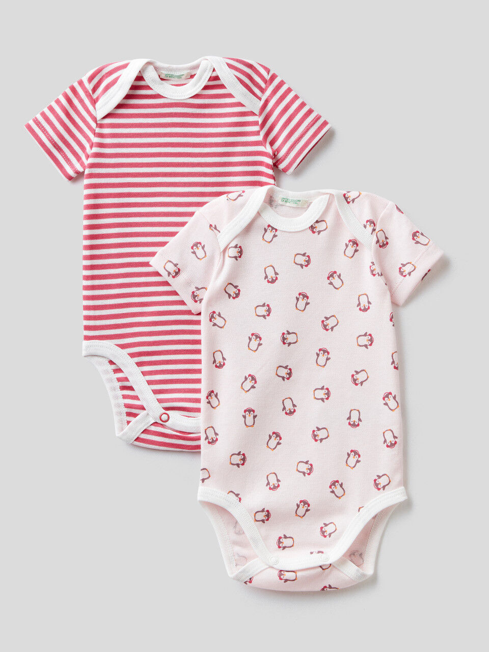 Two short sleeve bodysuits in 100% cotton